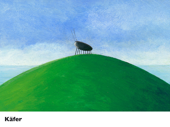 käfer